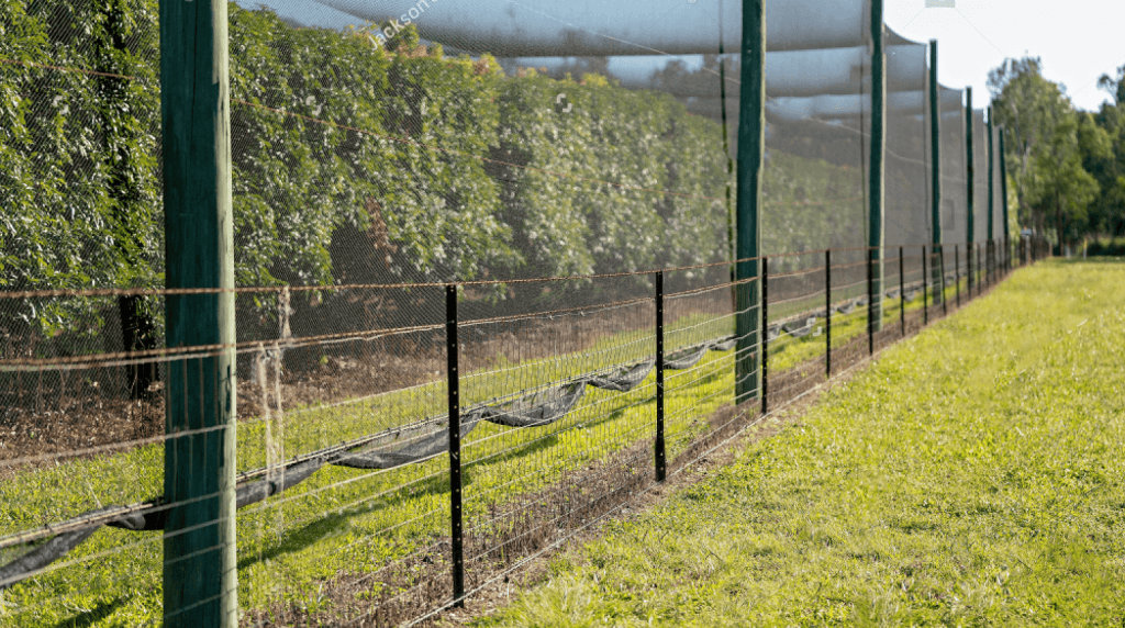 Apple-Anti-Wind-Netting-Bonafide Group