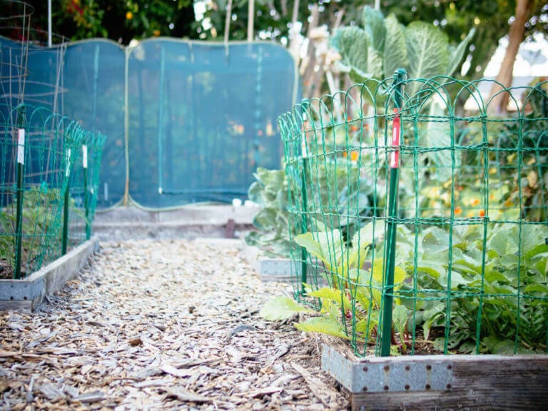 baby-taxi-fencing-Bonafide Group