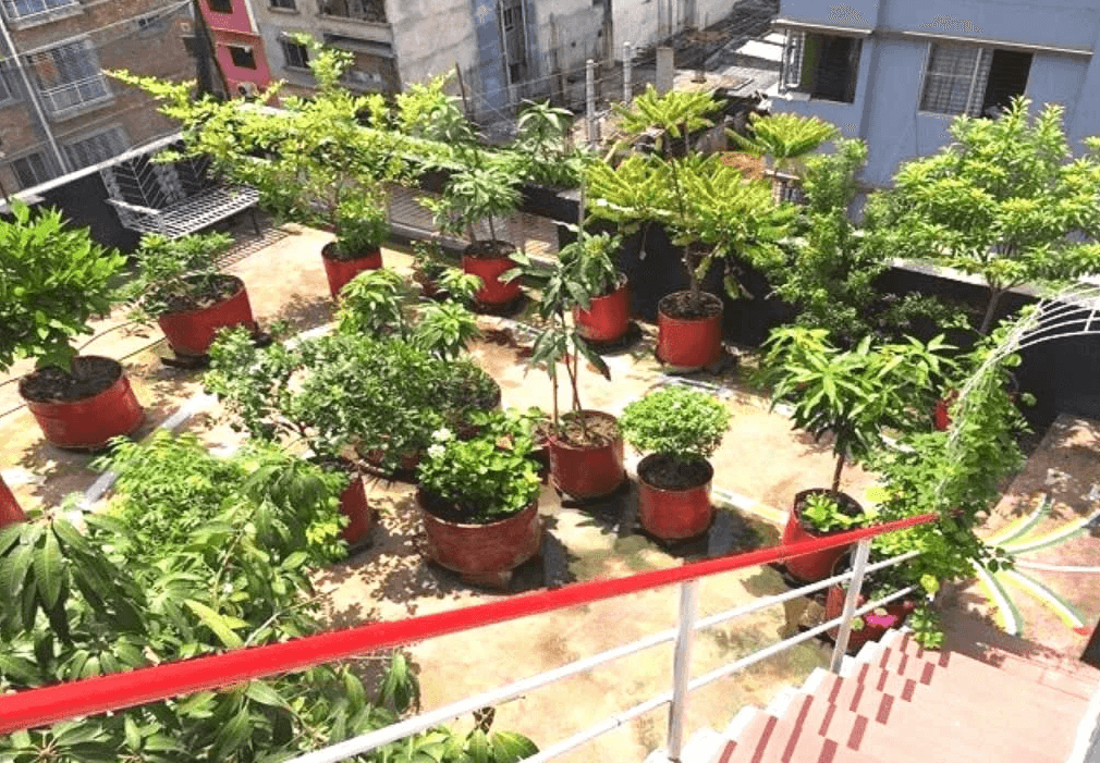 katla-fish-fencing-bonafide group