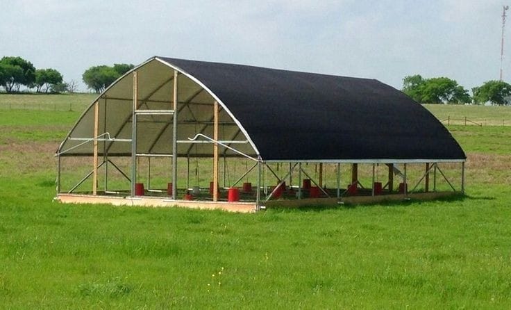 palm-tree-net-Bonafide group