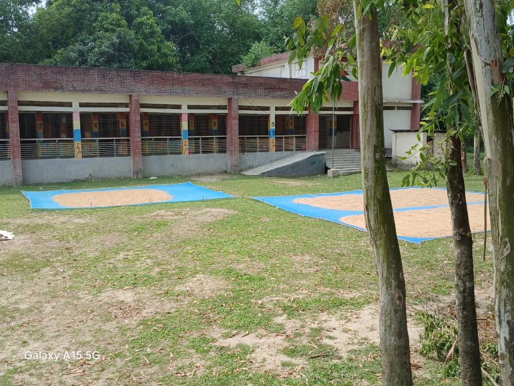 bullet-train-Drying-Bonafide Group