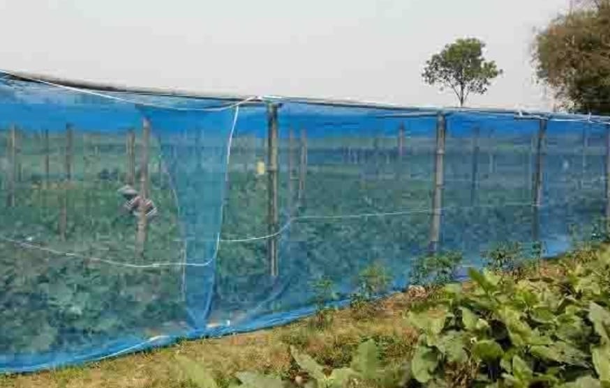 minar-Net suitable for nursery roofing/fencing-Bonafide group