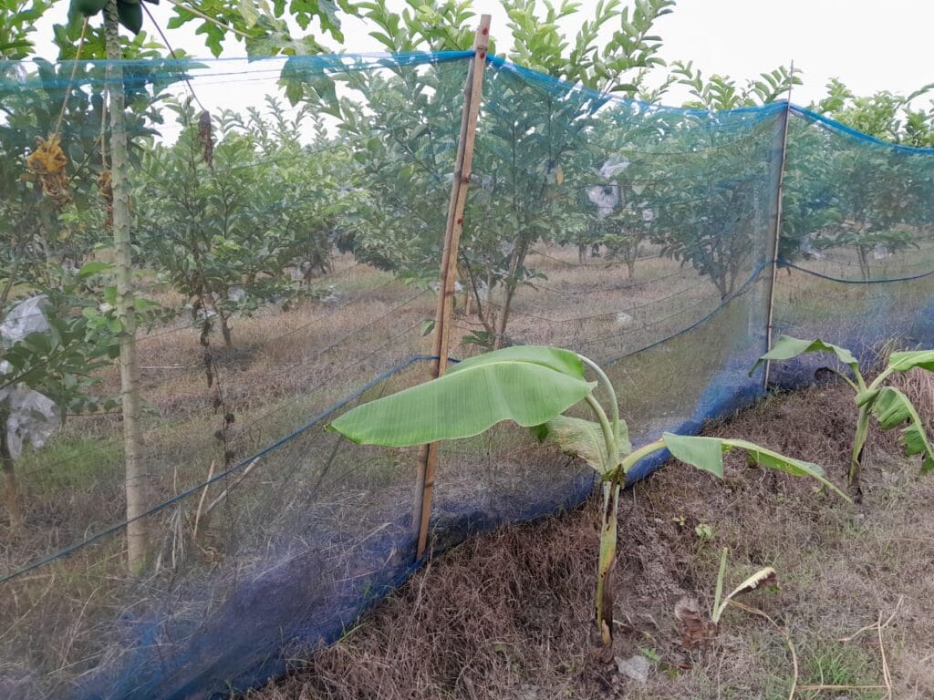 krishoker-bondhu-nets-bonafide group