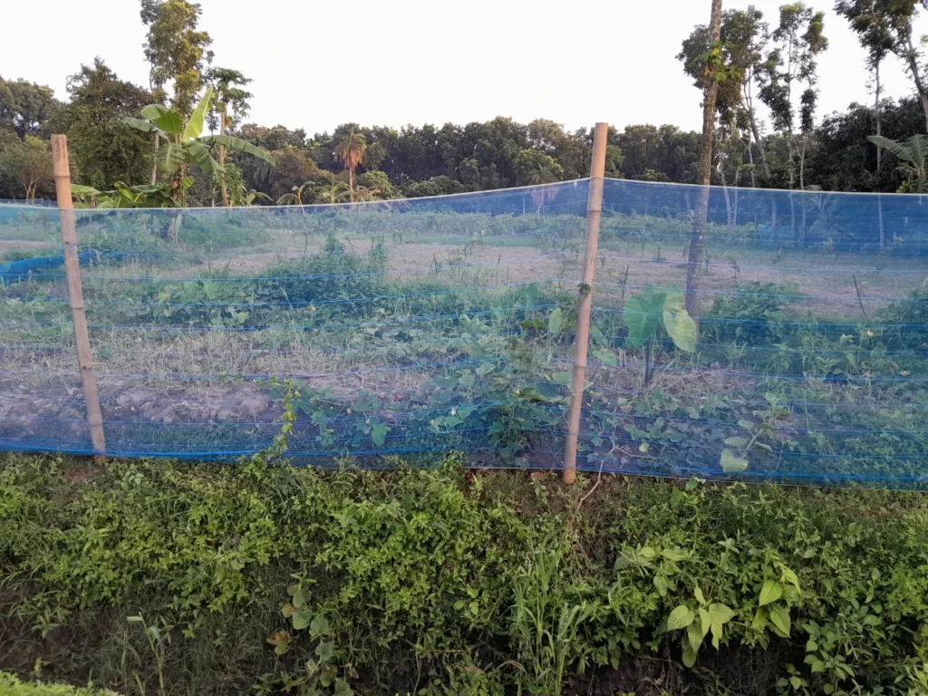 helicopter-net-bonafide group