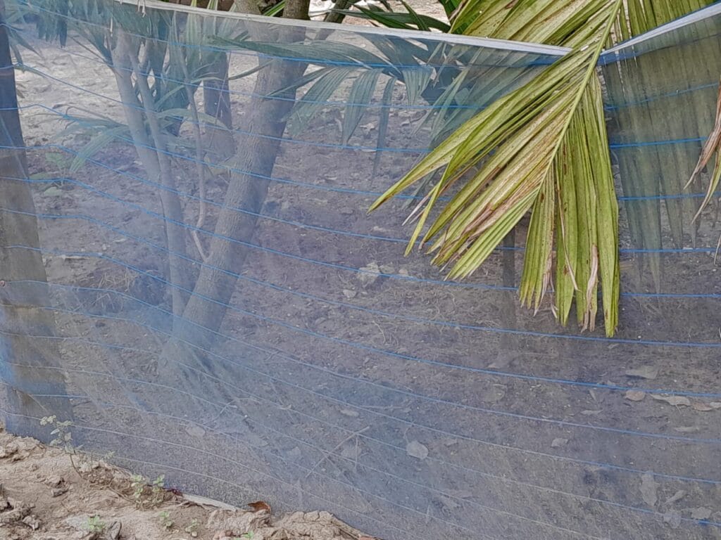 cover van-fencing vegetables-bonafide group