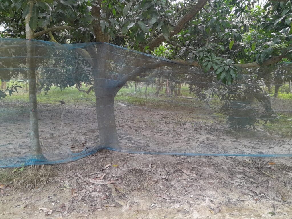 Apple-fencing-Bonafide Group