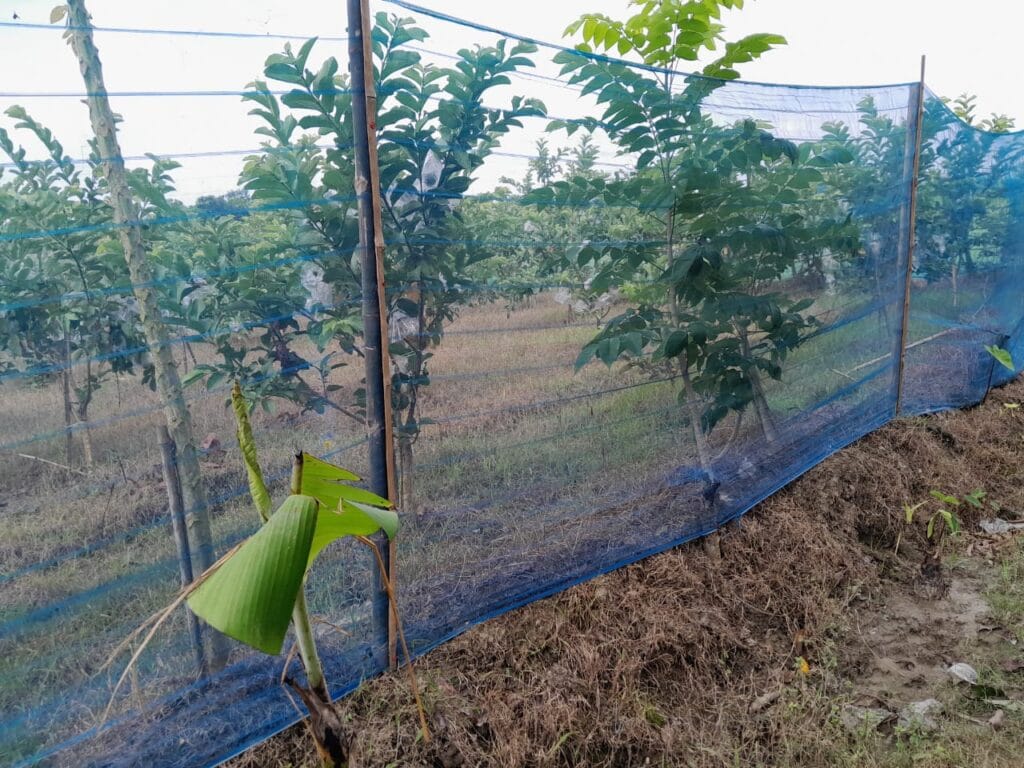 railgari-jute-nets-Bonafide group